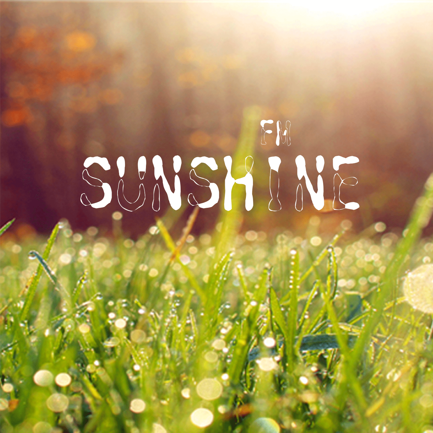 sunshine频道 cover art